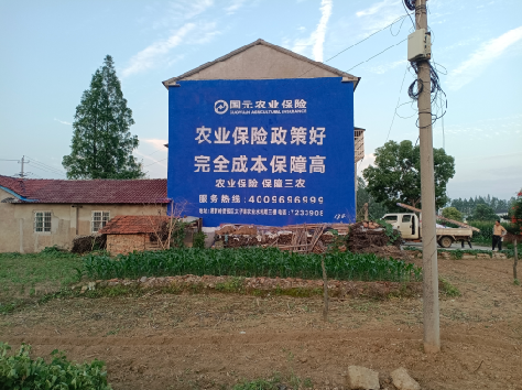 安龙墙体广告为何受追捧？