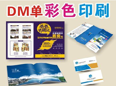 安龙单页印刷，色彩搭配简单。